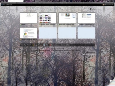 Chromes OS 下载泄露