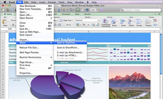 Excel Web App