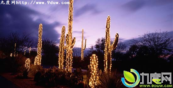 Windows 7官方推出圣诞节主题包“节日彩灯”(Holiday Lights)