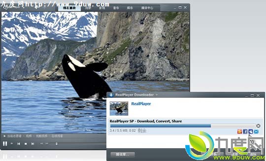 下载：RealPlayer 14.0.0.609