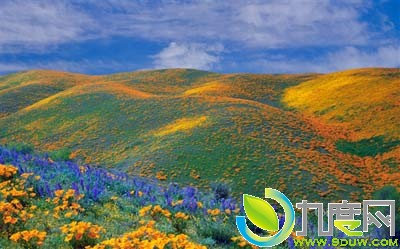 Windows 7最新官方主题包Bing