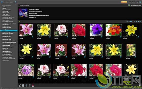 Adobe Photoshop/Premiere Elements 10正式版发布