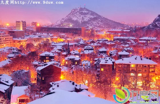 微软发布四款Win7/Win8官方桌面主题：《美丽花朵》《异域风情曼岛》《雪鸮》《雪夜》