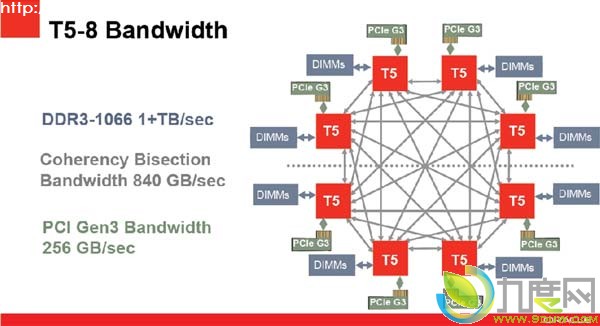 Oracle,甲骨文,SPARCT5,SPARCM5,微处理器,全球最快处理器