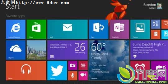 Windows RT 8.1 RTM官方镜像泄露