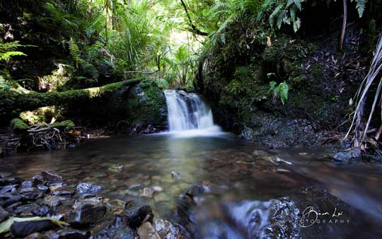 微软发布风景类Win7/Win8官方主题:《北岛》（North Island）