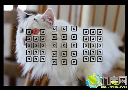 佳能发布APS-C画幅单反相机EOS 80D：45点十字对焦