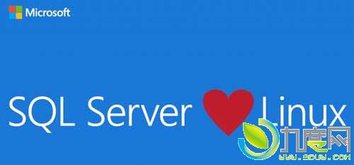 微软数据库管理软件SQL Server正式登陆Linux系统