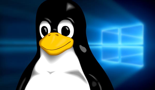 Linux Kernel 4.14版内核长期支持版发布：支持4PB内存、AMD内存加密技术