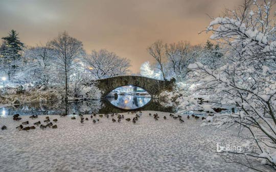 Windows 10官方主题包《Bing in Winter》：穿越世界各地冬季