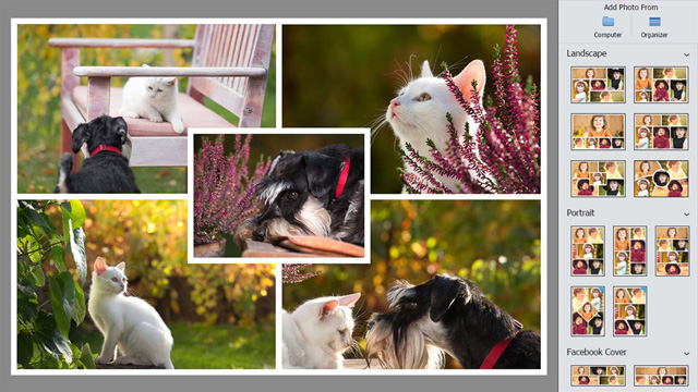 Adobe Photoshop Elements 2019微软Windows 10商店上架