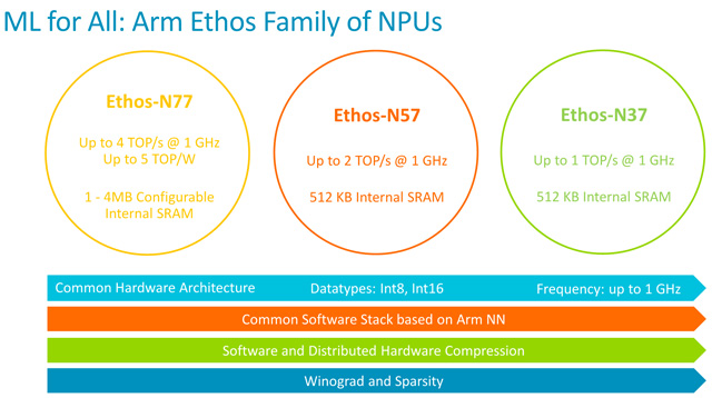 ARM发布四款新架构IP产品:Ethos N57/N37,Mali-G57/Mali-D37
