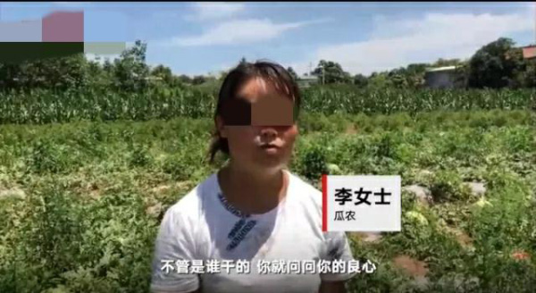 良心何在！西安农妇2000个西瓜被砍烂:学费看病费全没了,目前警方正调查中