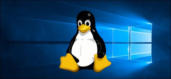 Win10第二代Linux系统WSL2将于Win10 v2004正式版上线