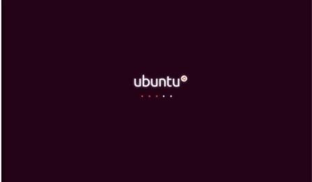 أUbuntu 10.04  LSTʽ