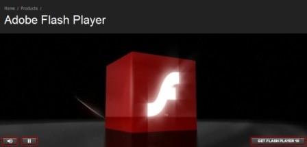 Adobe Flash Player 10.1ʽ