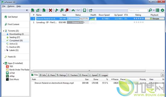 BTͻµTorrent 3.0ʽ