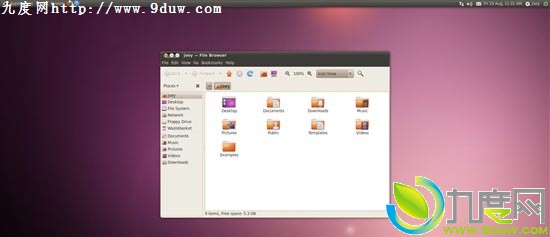 أUbuntu 10.04.4 LTSʽ