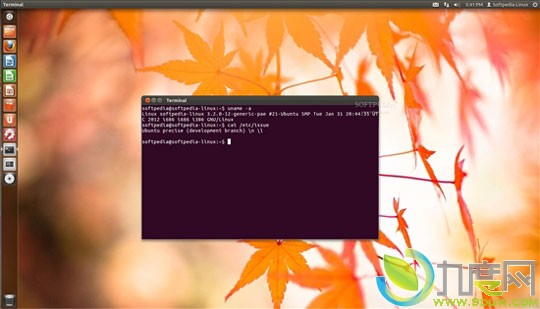 Precise Pangolin Ubuntu 12.04 LTS Alpha 2԰淢