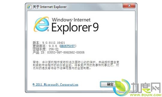 IE99.0.6