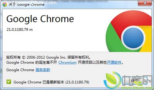 Google Chrome 21ʽӭ