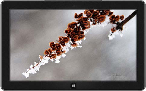 ΢Windows 8⣺,Winter Garden,Sardinian Shores,Raindrops and Dew,Butterflies of Nagpur,׶شԽر