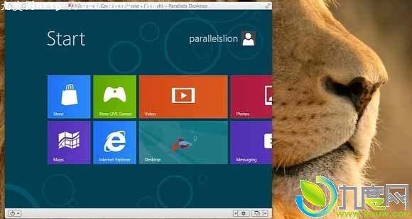 MacParallels8.0 Win8.1