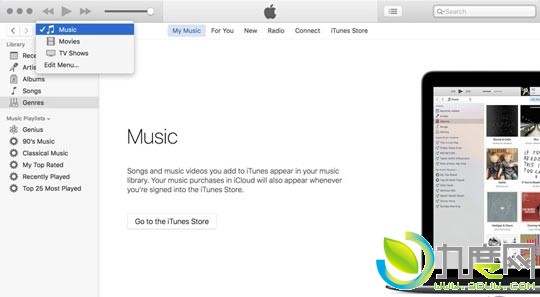 iTunes 12.4ȫ·ȫ±,ýѡ