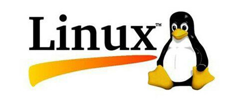 Linuxں5.8淢ںļ޸ĸߴ20