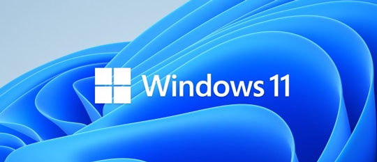 ΢º֣Windows 10Windows 11ȷɱƻM1